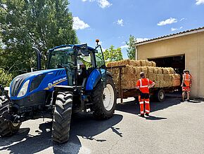 Agrandir l'image, fenêtre modale