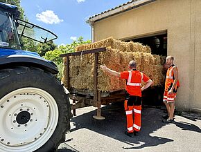 Agrandir l'image, fenêtre modale